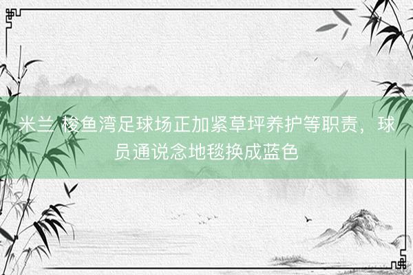 米兰 梭鱼湾足球场正加紧草坪养护等职责，球员通说念地毯换成蓝色